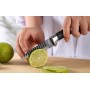 Set de cutite profesionale pentru bucatari din otel inoxidabil, 6 piese, cuțit bucătar, cuțit utilitar, curatator pentru legume, cuțit pentru fructe, foarfece ascutite, cuțit pentru carne.