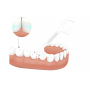 Set 200 Bucăți Ață Dentară cu Scobitoare Pesitro – Aromă de Mentă , Ambalaj Verde