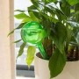 Picuratoare pentru irigare plante, culori leatorii, 13x5cm