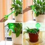 Picuratoare pentru irigare plante, culori leatorii, 13x5cm