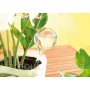 Picuratoare pentru irigare plante, culori leatorii, 13x5cm