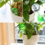 Picuratoare pentru irigare plante, 25 cm, Verde