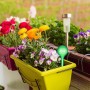Picuratoare pentru irigare plante, 25 cm, Verde