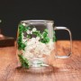 Set 2 cești cu pereți dubli, 350 ml, din sticlă borosilicată, cu decor floral uscat în bază — pentru băuturi calde și reci. Verde
